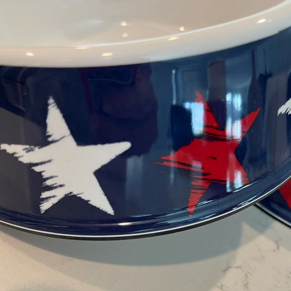 Set of 2 matching large dog bowls
